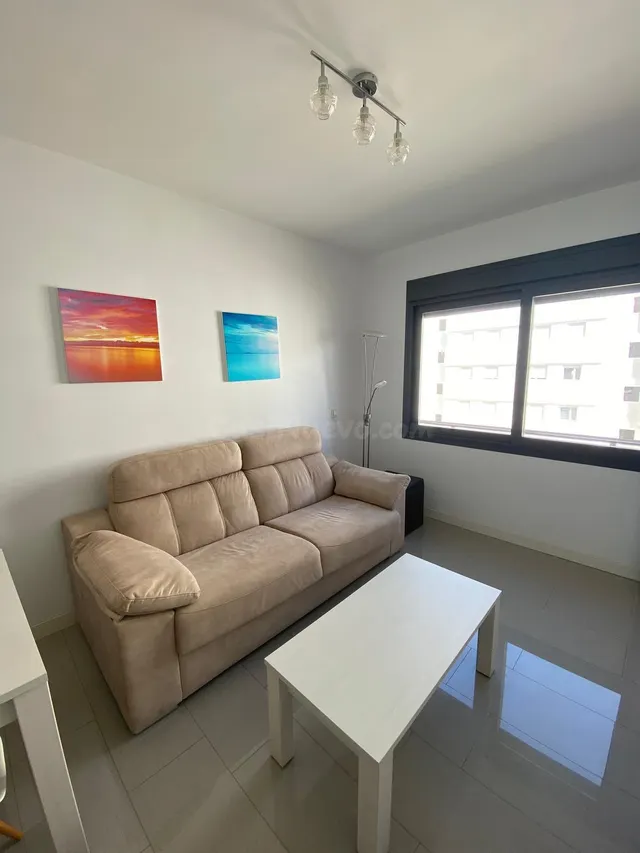 Amplio y Moderno Apartamento en Torre del Mar - Alquiler de  - foto 2