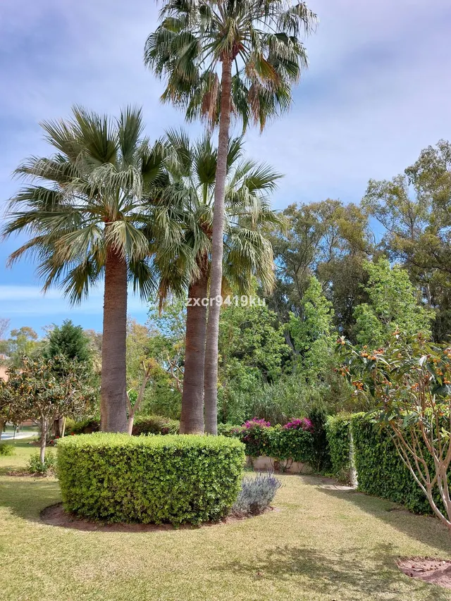 Apartamento 3 habitaciones 87m² en venta - Marbella — 20