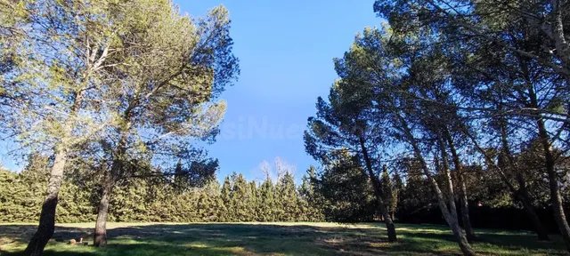 Terreno Rústico en la Poblachuela Ciudad Real. - foto 5