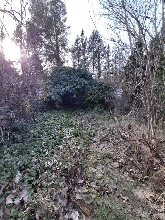 Finca con vivienda para venta — 7