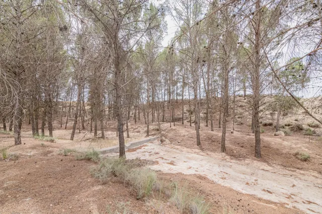 Finca con cuevas — 38