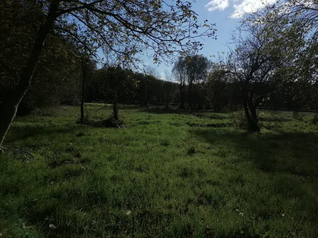 SE VENDE TERRENO CON ARBOLEDA Y UNA PEQUEÑA EDIFICACIÓN EN CASTRO DE REI — 6