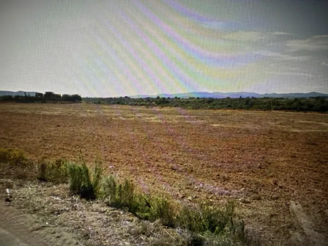 Terreno rustico con caseta - Vinaros - Castellón - foto 5