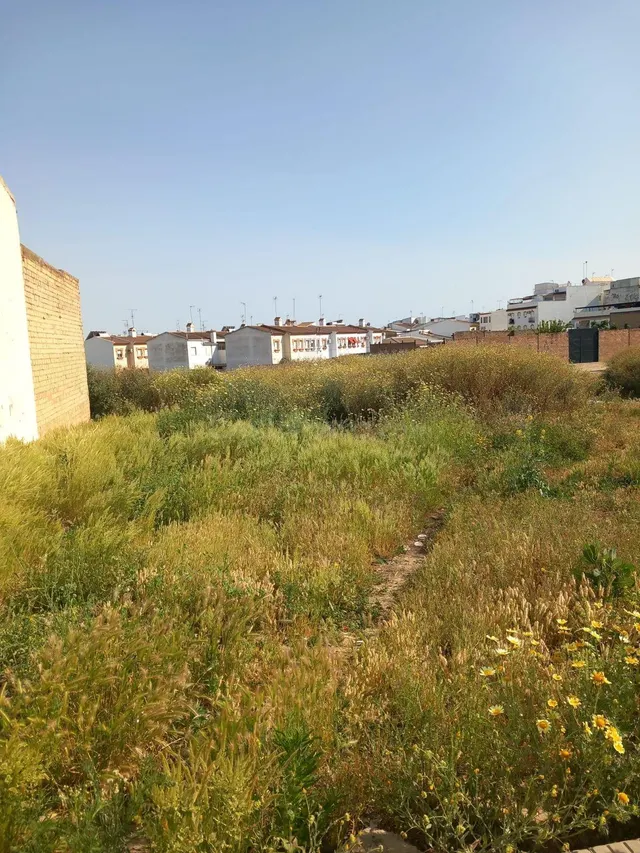Solar en Bollullos Par del Condado (Huelva) - foto 2