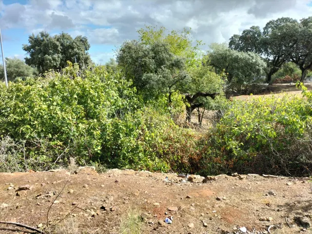 Suelo urbano residencial en La Colina (Córdoba) - foto 2