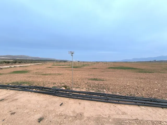 Parcela en venta - Ayuntamiento - foto 2