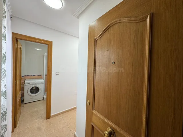 ESTUDIO CON TERRAZA EN TORREVIEJA ( PLAYA DEL CURA ) - foto 5