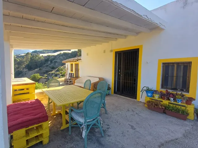 PARCELA DE TERRENO CON CASA CONSTRUIDA Y ARBOLES FRUTALES — 13