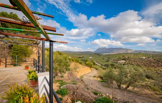 VENTA DE FINCA RUSTICA EN LA ZONA DE LA SIERRA DEL TORCAL — 23