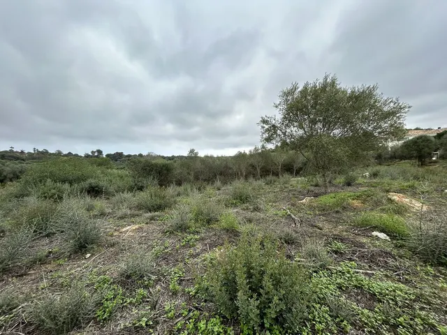 Parcela 1444m² en venta - Sotogrande Costa — 8