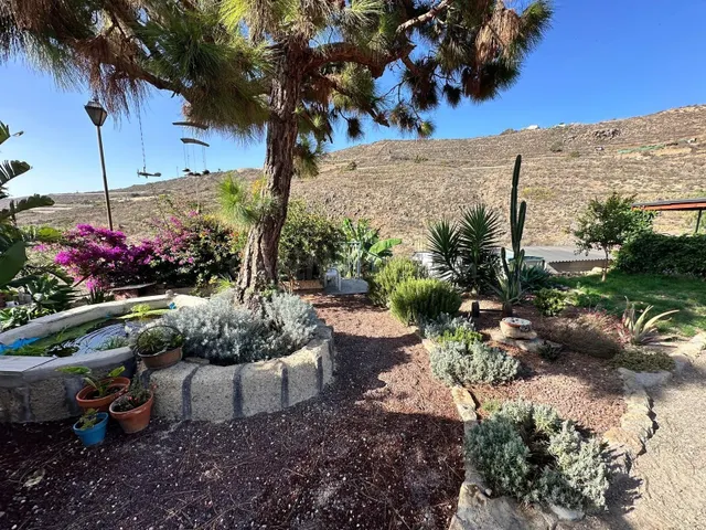 Casa con terreno en Arico - foto 4
