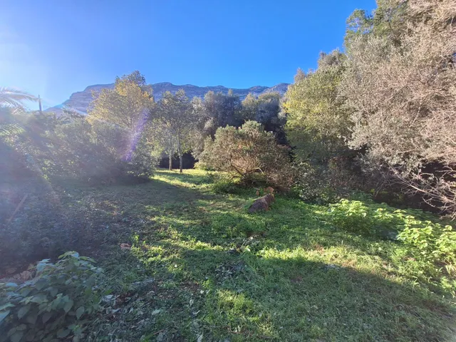 Terreno en venta en zona galeretes — 28