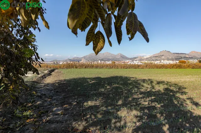 Se venden dos parcelas Rusticas en Atarfe. — 22