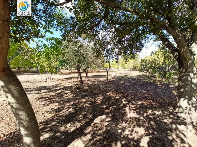 CASA CON PARCELA  EN LA SIERRA DE CADIZ -EL BOSQUE — 20