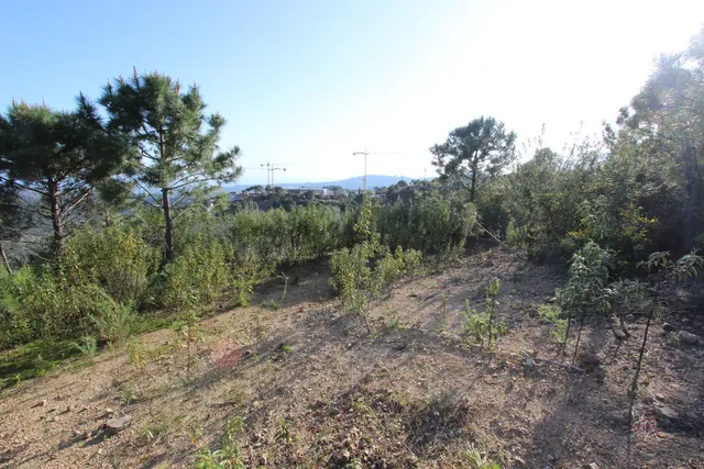 Parcela exclusiva con vistas al Mediterráneo en Benahavís — 21