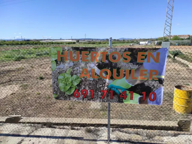 HUERTOS URBANOS EN ALAQUÀS — 22