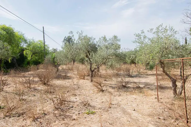 Espectacular finca en carretera mairena - almensilla !!! — 73