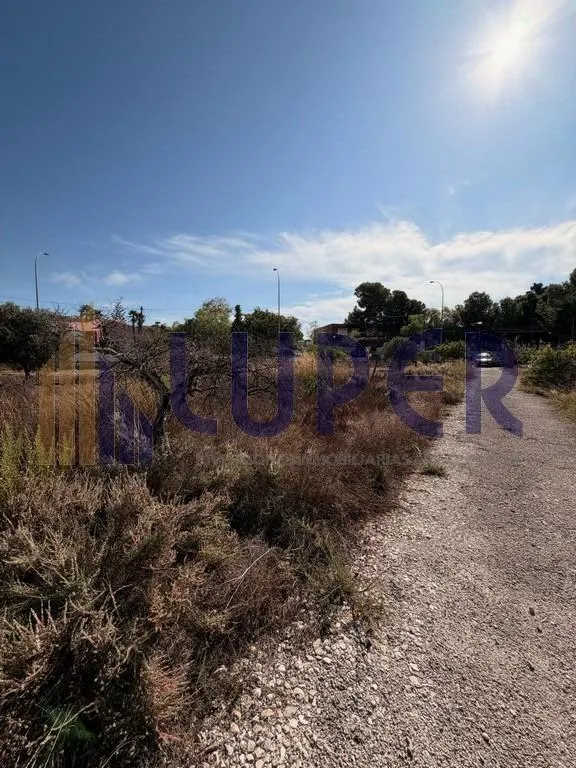 Parcela urbana de 2.035 m2 - ona paulinas — 9