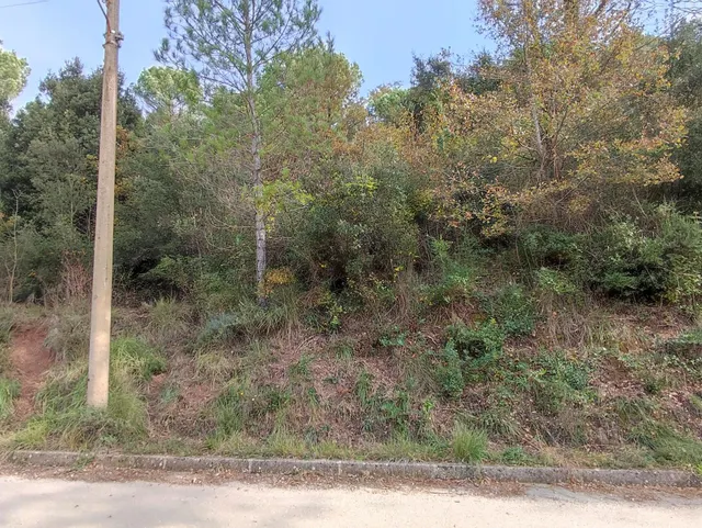 TERRENO EN VENTA EN LA URBANIZACION MASIA DEL SOLÀ (FINCA RUSTICA) MONISTROL DE CALDERS — 4
