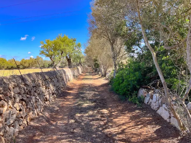 Venta de Terreno de 61,021 m2 con Licencia para construir en - foto 4