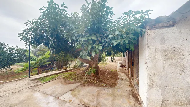 Piso con terraza y terreno en Guimar — 50