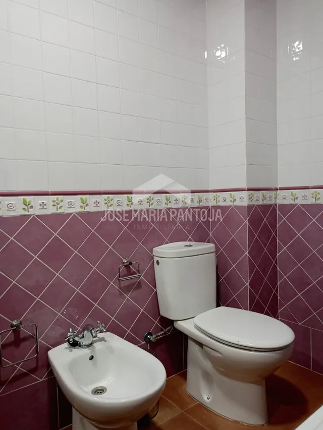 CHALET CON PISCINA EN JUNTA DE LOS RIOS — 21