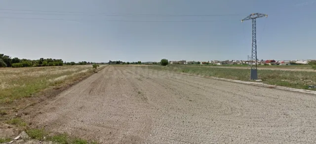 PARCELA RÚSTICA EN DOLORES - ALICANTE
