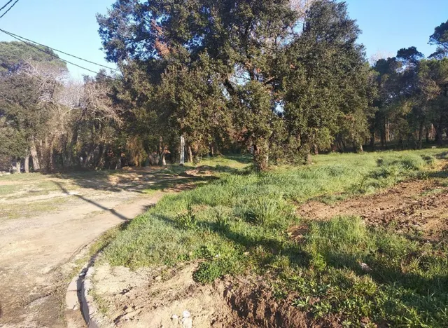 Terreno urbanizable 260m² en venta - Residencial park - foto 4