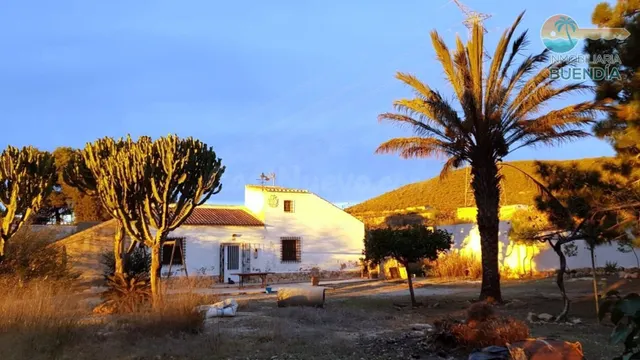 FANTASTICA FINCA CON CASA DE CAMPO EN FUENTE ALAMO Y GRAN TE - foto 2