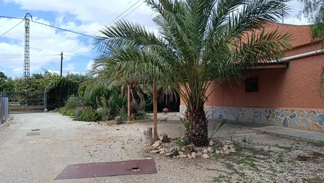 CASA DE CAMPO CERCA DE ELCHE — 35