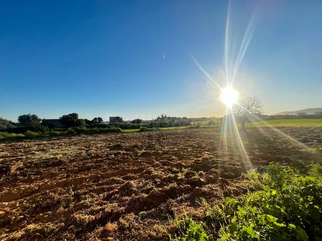 Terreno agrario con construcción en Son Ferriol - foto 4