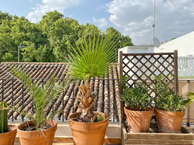 Ático 1 habitación 51m² en venta - Marbella — 31