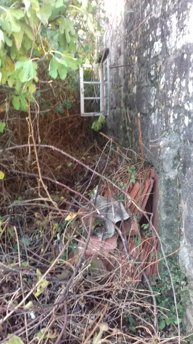 SE VENDE CASA DE PIEDRA PARA REFORMAR EN BUGALLIDO — 5