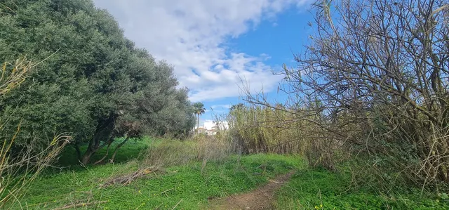 Parcela 560m² en venta - Riviera del sol — 5
