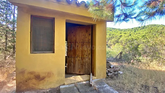 ESPECTACULAR FINCA DE 32 HECTAREAS IDEAL PARA DESCONECTAR O INVERSION PARA COMPLEJO RURAL — 31