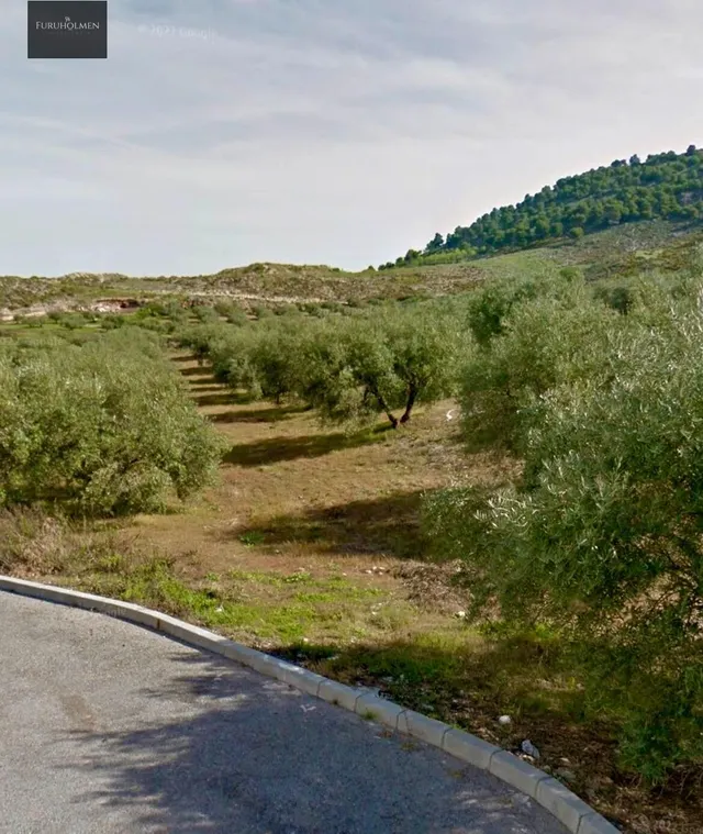 NIVAR - FINCA DE OLIVOS — 27