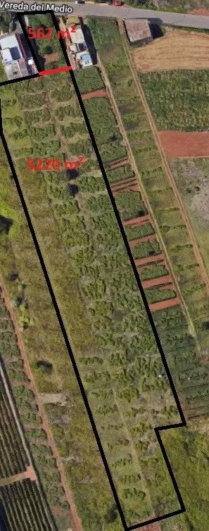 SOLAR URBANO CON FINCA RUSTICA — 11