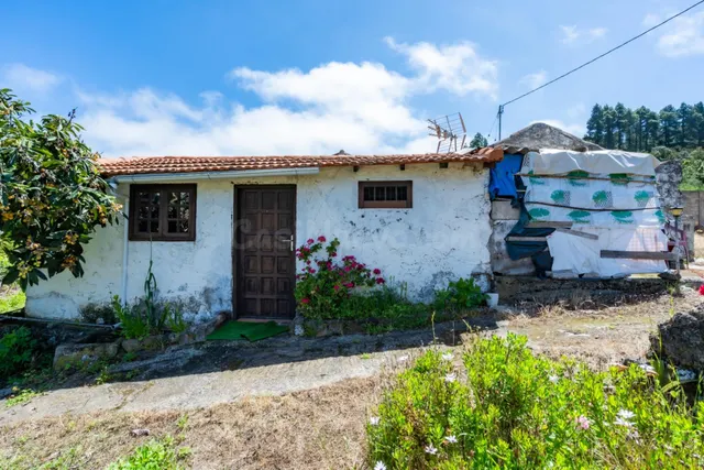 Finca con vivienda y viñedos en Icod de los Vinos — 4