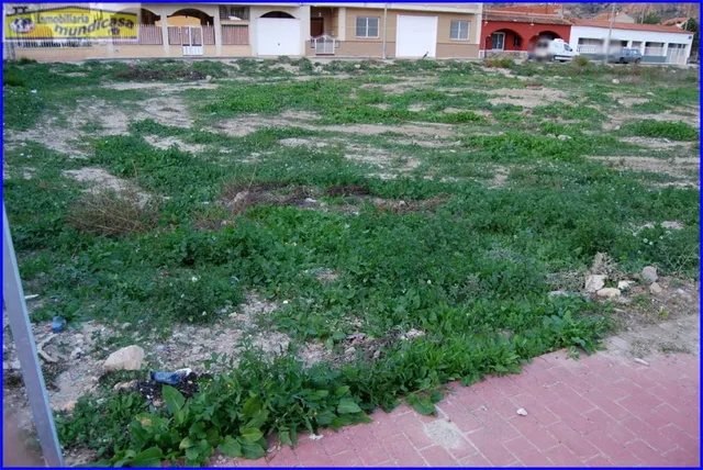 Se vende solar en El Siscar — 7