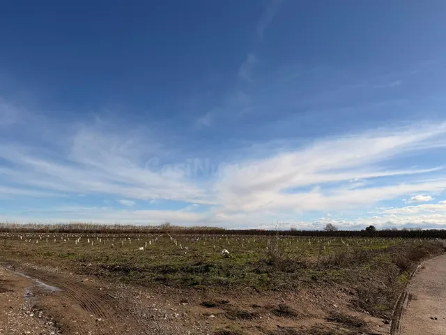 ¡OPORTUNIDAD DE INVERSIÓN! CORBINS - LLEIDA - — 4