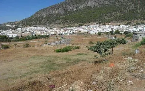 AMPLIO TERRENO URBANO NO CONSOLIDADO - ALGODONALES - foto 3