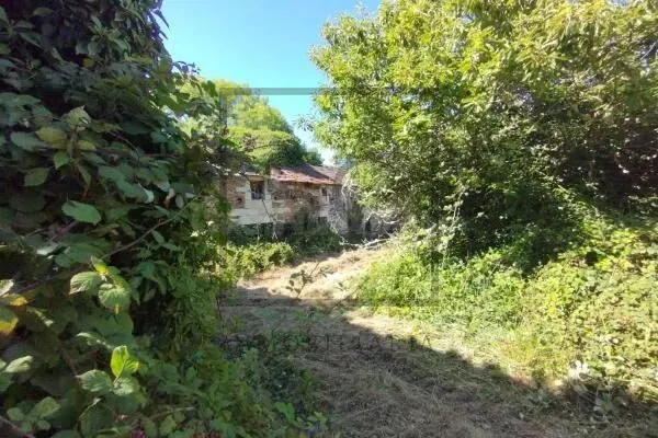 Casa para rehabilitar con gran finca en Begonte. - foto 3