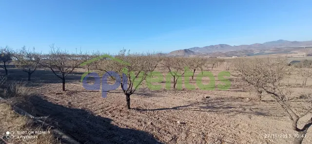 Terreno-parcela en Purias — 16