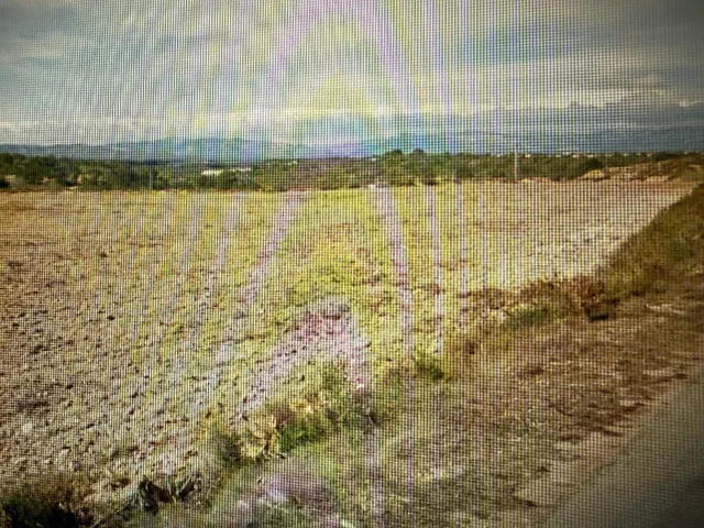 Terreno rustico con caseta - Vinaros - Castellón - foto 4