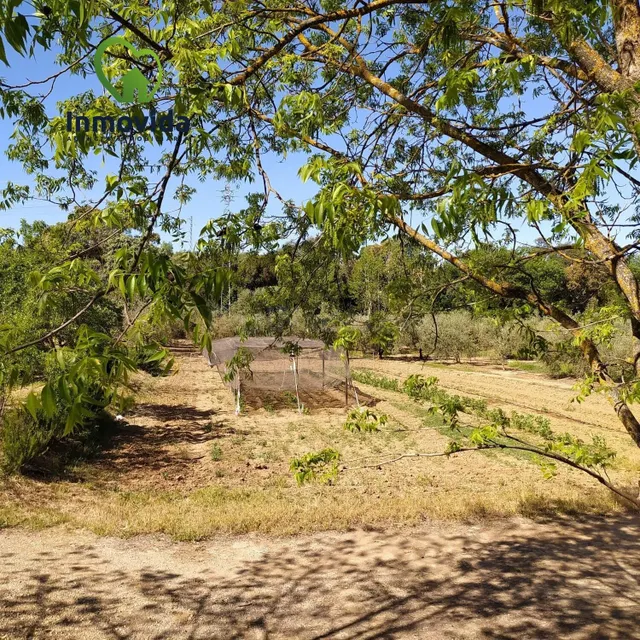 IDEAL INVERSION TURISTICA FINCA CON OLIVOS Y PISCINA - foto 3