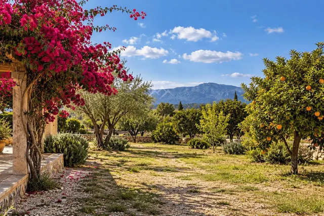 Finca rústica ideal para caballos, en Palma — 12
