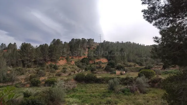 Venta de finca rústica en Xerta - foto 3