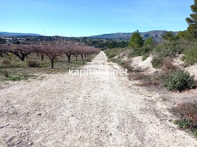 PARCELAS A LA VENTA EN LOS TERMINOS DE ONTINYENT Y AGULLENT, ZONA CALS XOPS Y CAL CANONGE — 3