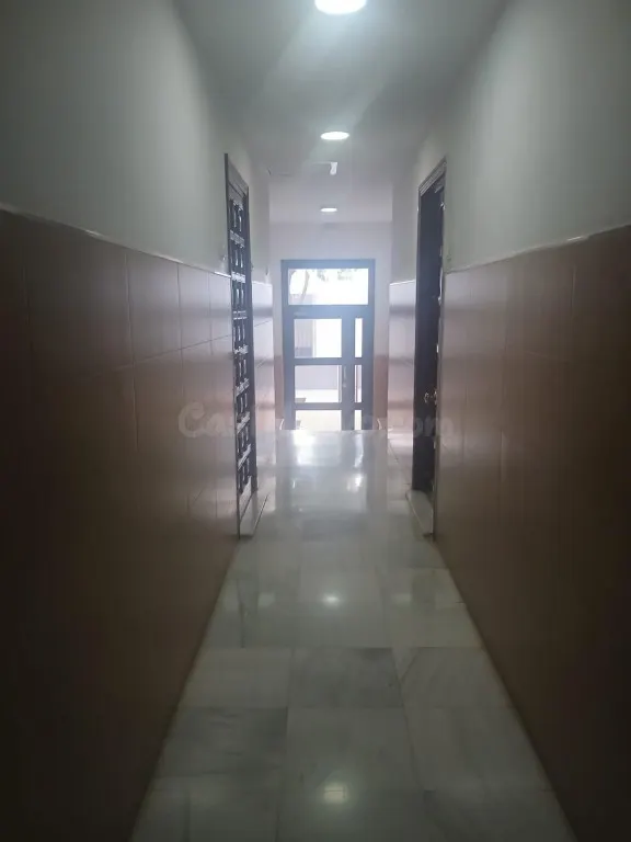 ¡OPORTUNIDAD ÚNICA EN TIRO DE LÍNEA! — 5