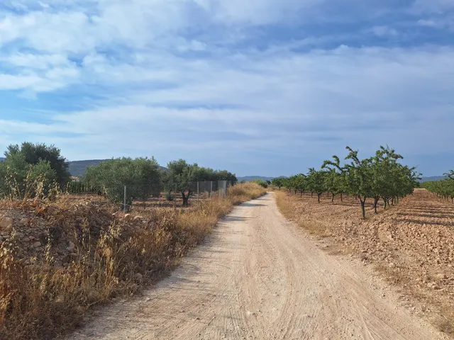 ¡Parcela edificable de 16.964 m2, vallada, con camino perimetral, agua de riego e informe urbanístico disponible, a solo 5 minutos de Pinoso! — 14